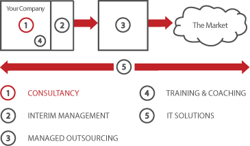 The Mirror The Map, Sustainable Business Development - Consultancy